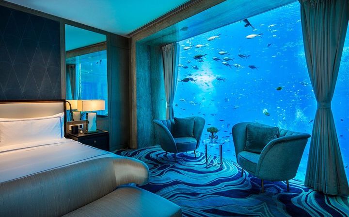 Discover Underwater Room Basics: Guide, Facts, and Details
