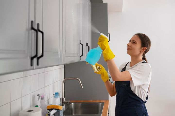 Discover Home Cleaning Information: Guide, Suggestions, and Key Insights